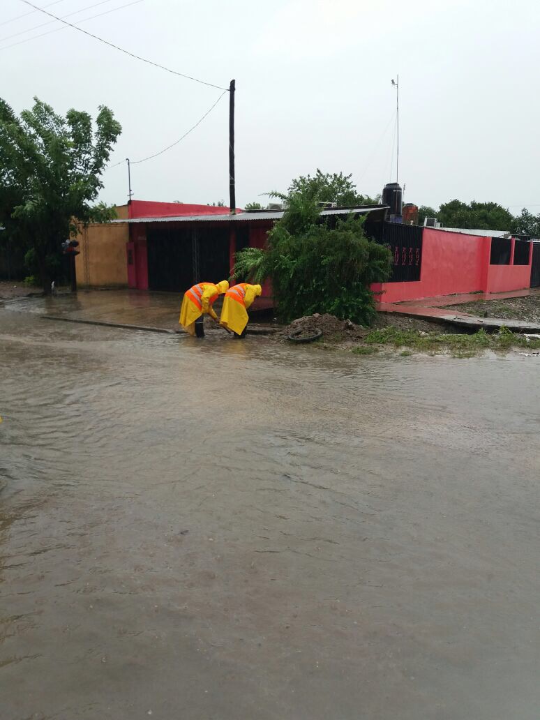 Las zonas inundables, en fotos