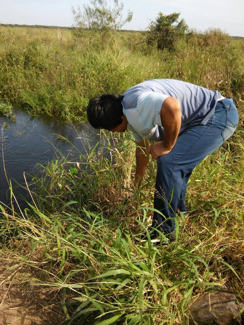 Vecinos de Mojón de Fierro limpian la ruta 2, de acceso al pueblo