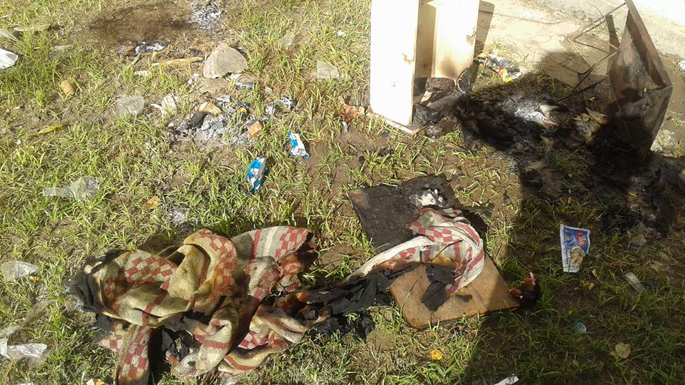 Encontraron perros calcinados en el barrio Guadalupe