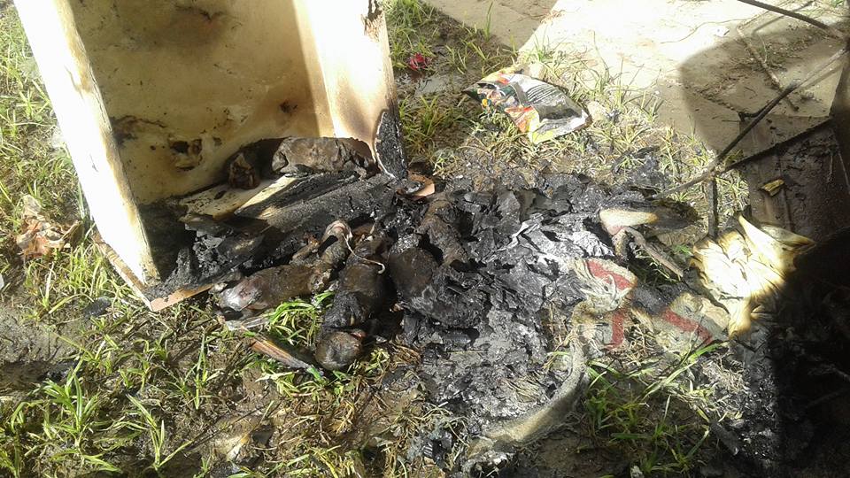 Encontraron perros calcinados en el barrio Guadalupe