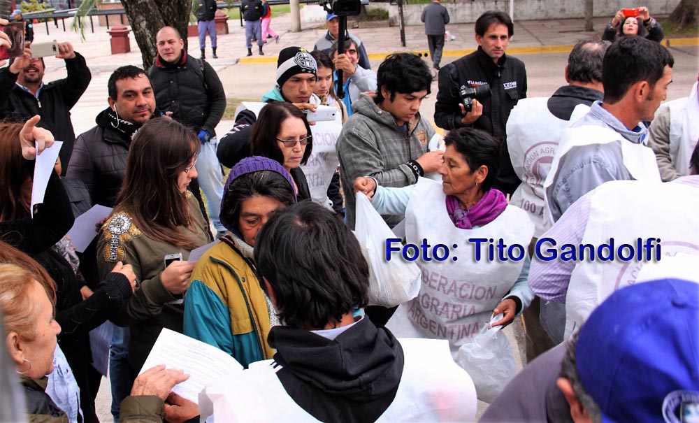 Bananeros piden protección, el gobierno manda plata para que salgan a competir con calidad