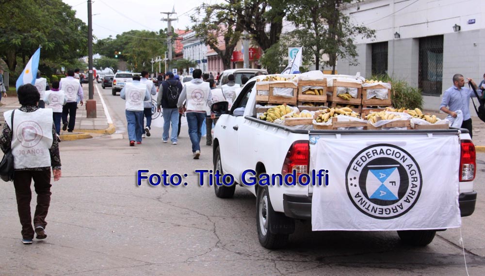 Bananeros piden protección, el gobierno manda plata para que salgan a competir con calidad