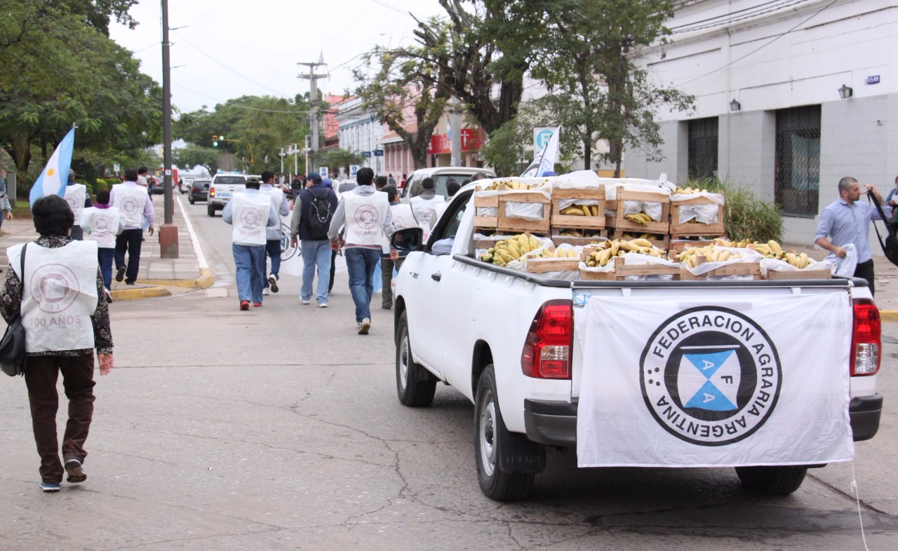Bananeros piden protección, el gobierno manda plata para que salgan a competir con calidad