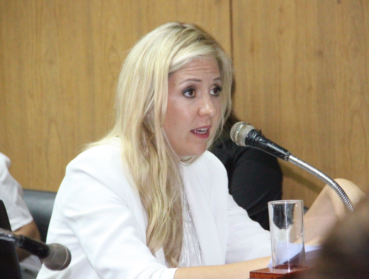 Aprobaron leyes de impuestos y Pymes acordadas entre Gildo y Macri