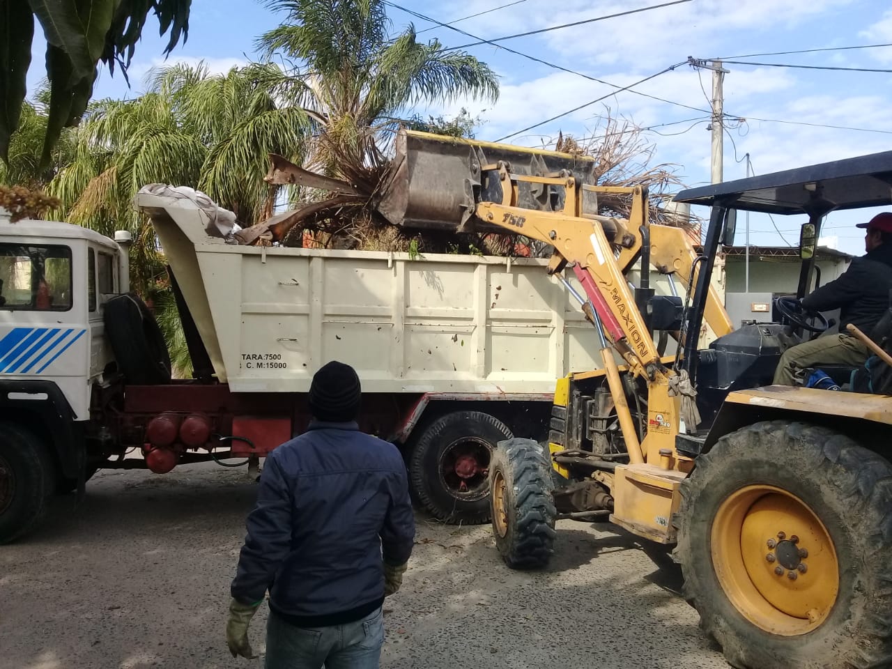 Tareas de higiene, desmalezado y embellecimiento en distintos sectores de la ciudad