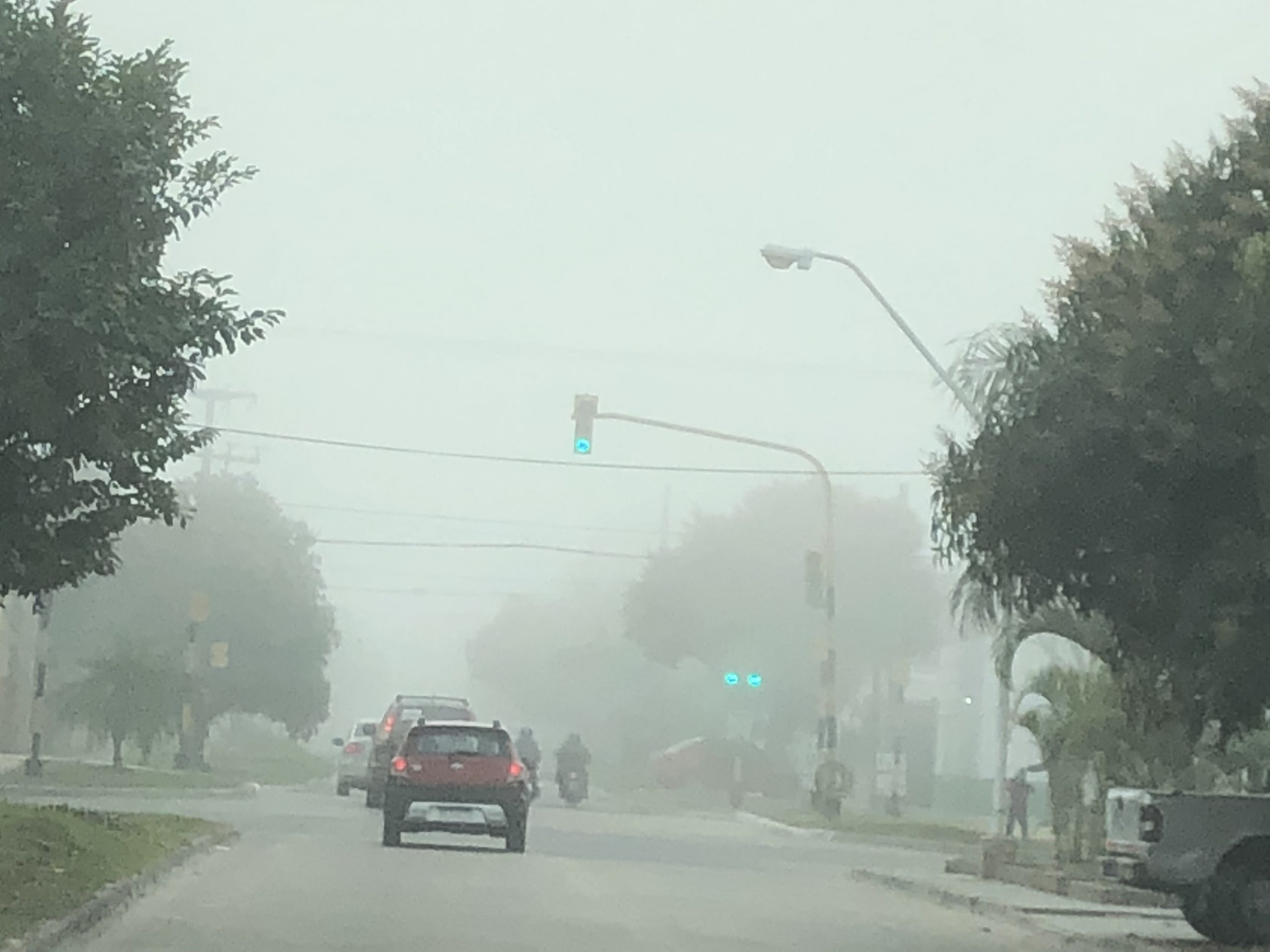 Densa niebla en la ciudad