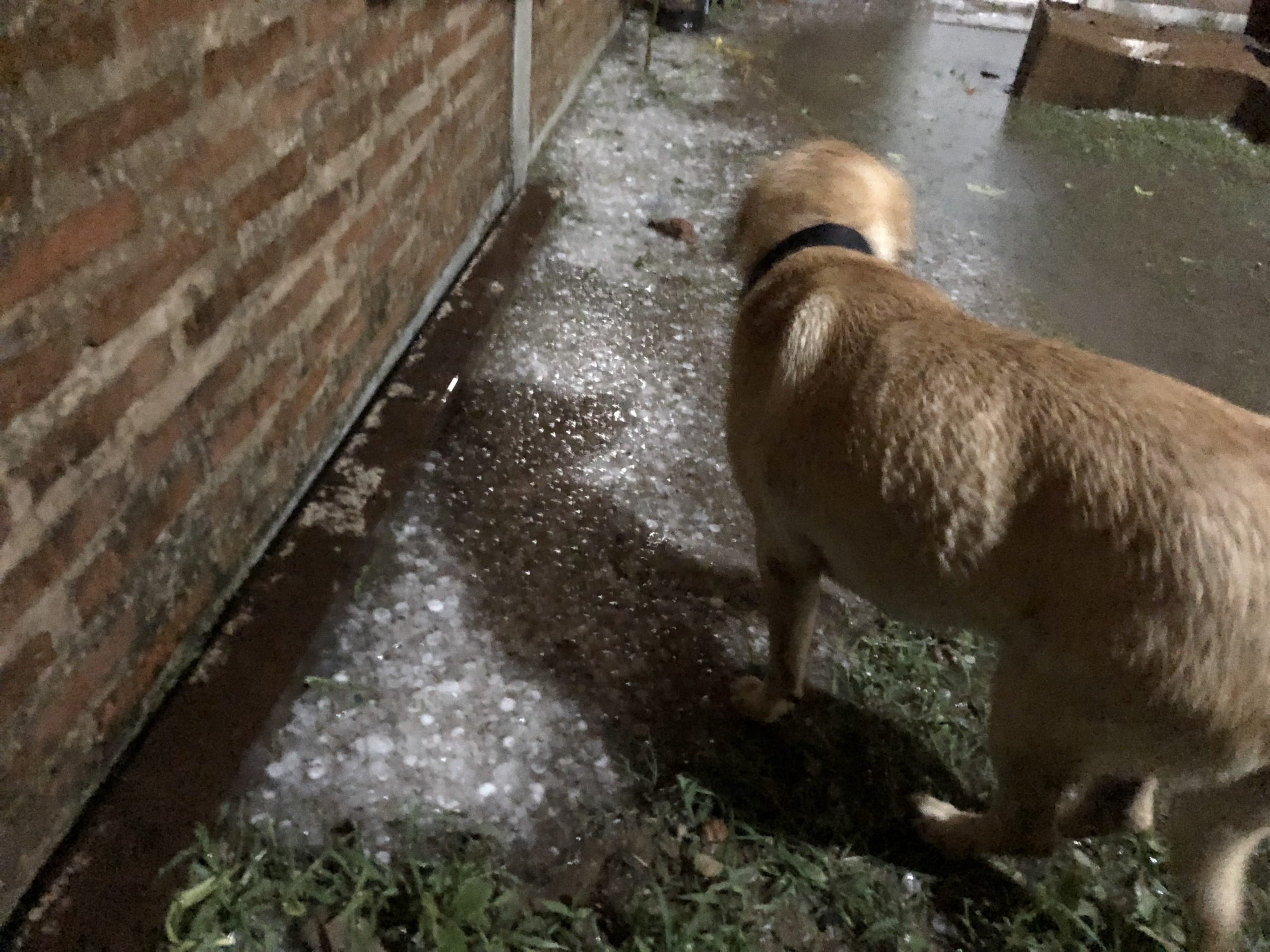 Temporal de granizo y lluvia en la madrugada