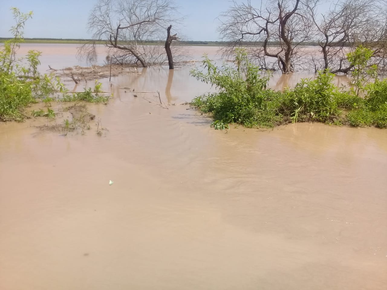 Alerta por desbordes del Río Bermejo