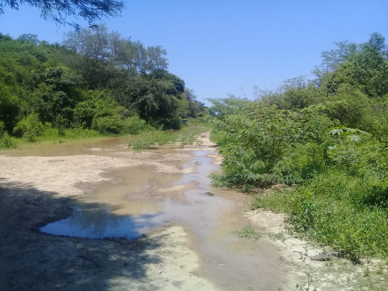 Alerta por desbordes del Río Bermejo