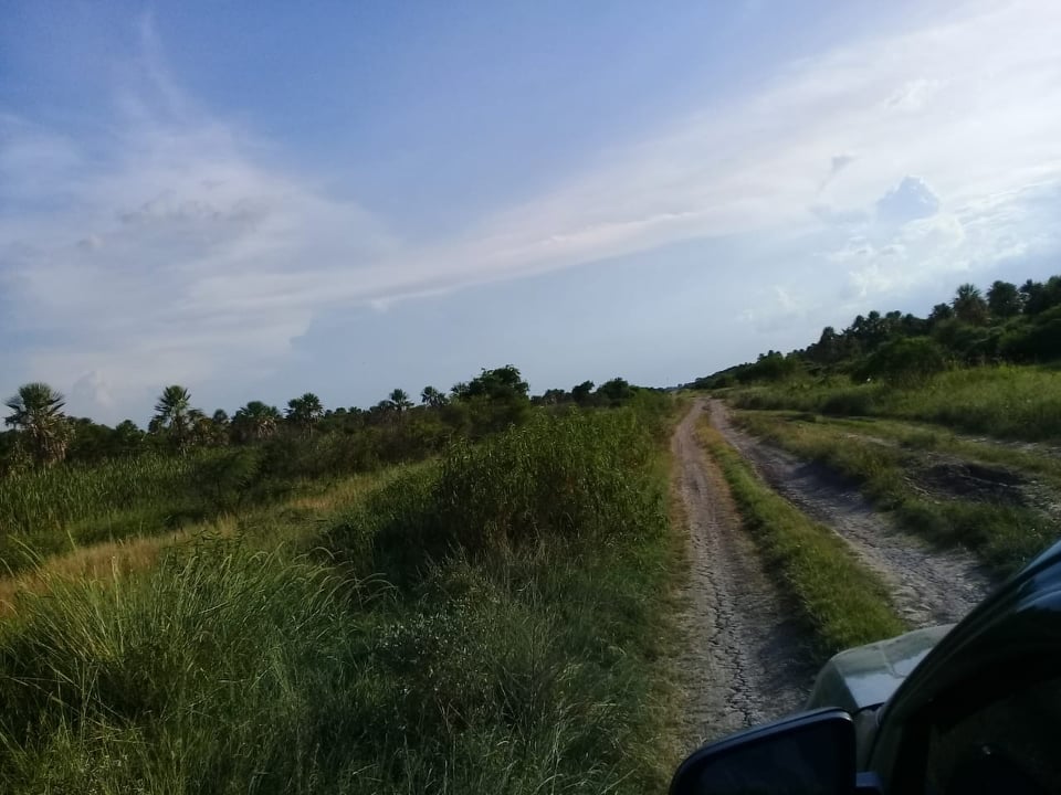 Tarifa Social de energía eléctrica: Nación considera «falsa» la información de «corte o reducción» del beneficio