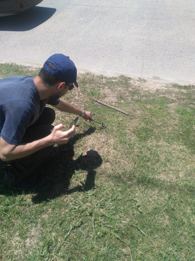 Vecinos encontraron una venenosa víbora de coral en avenida Gutnisky