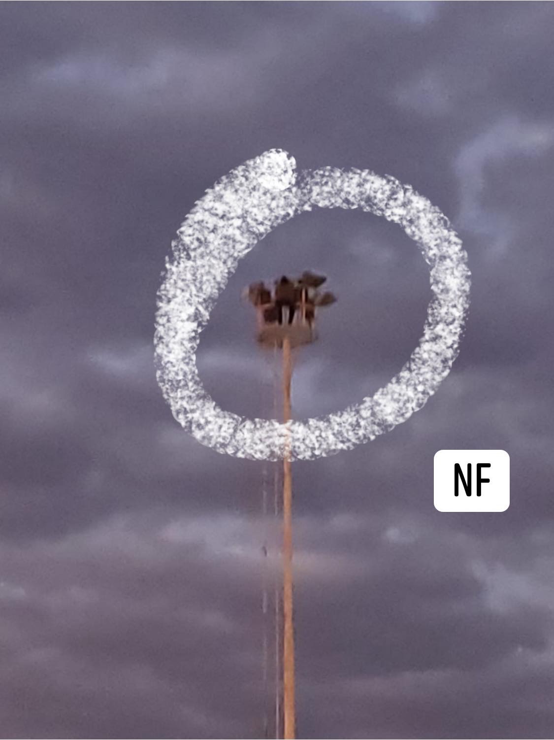 Decidió tirarse al vacío, lucha por su vida