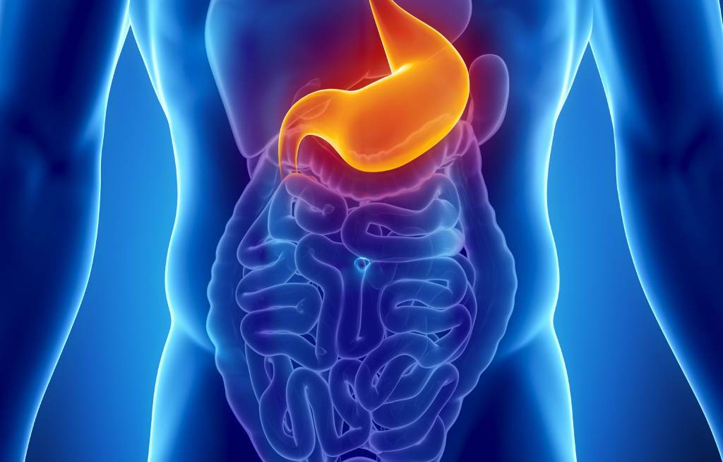 El hígado graso afecta al 20% de los argentinos: causas, síntomas y prevención