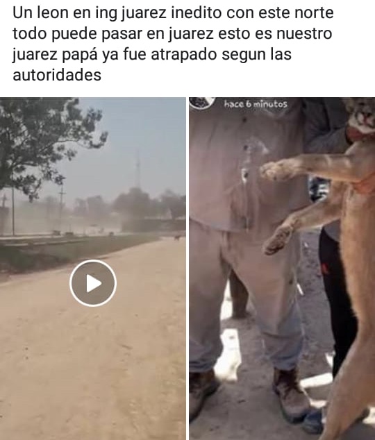 Resultados en la EPET 2