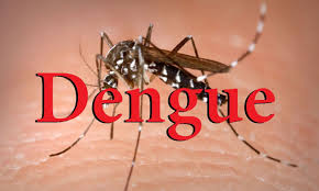 Dengue: en febrero 45 casos; ahora 2.788