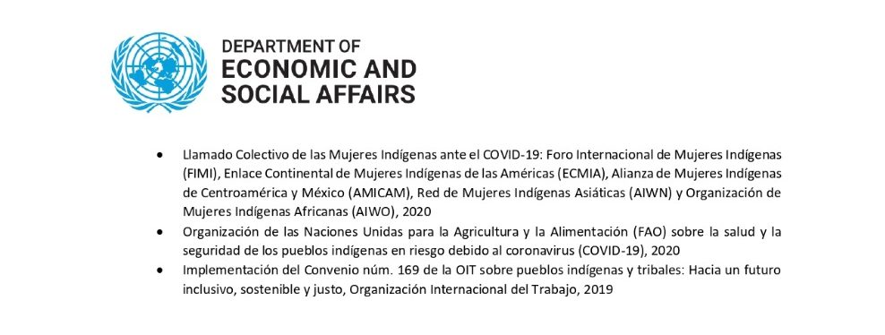 Consejo consultivo indígena denuncia “exterminio silencioso e invisible”