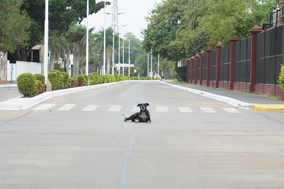 Comercio: Se firmó acuerdo de rebaja de hasta un 25% de descuento de los salarios de trabajadores suspendidos