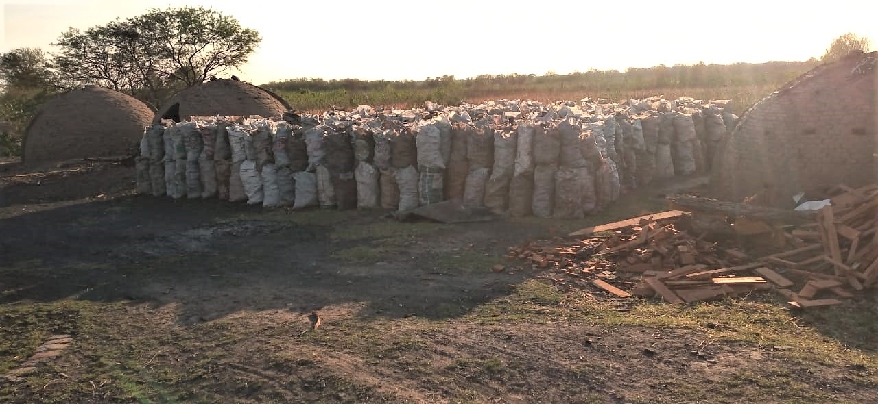 Carboneros de Palo Santo, desesperados, piden trabajar sin persecuciones burocráticas
