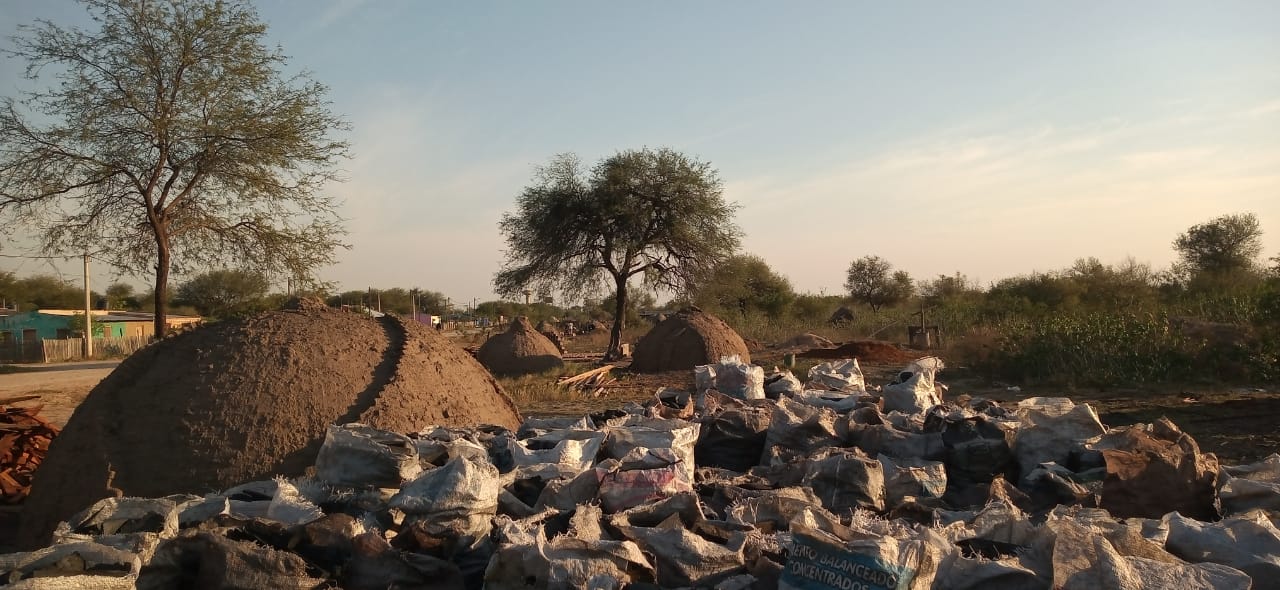 Carboneros de Palo Santo, desesperados, piden trabajar sin persecuciones burocráticas