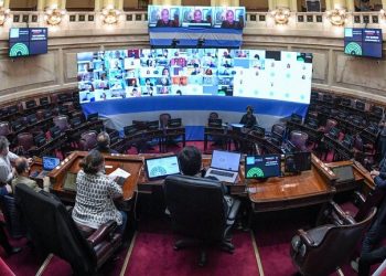 Senadora formoseña impulsa proyecto de ley para regular a influencers en redes sociales