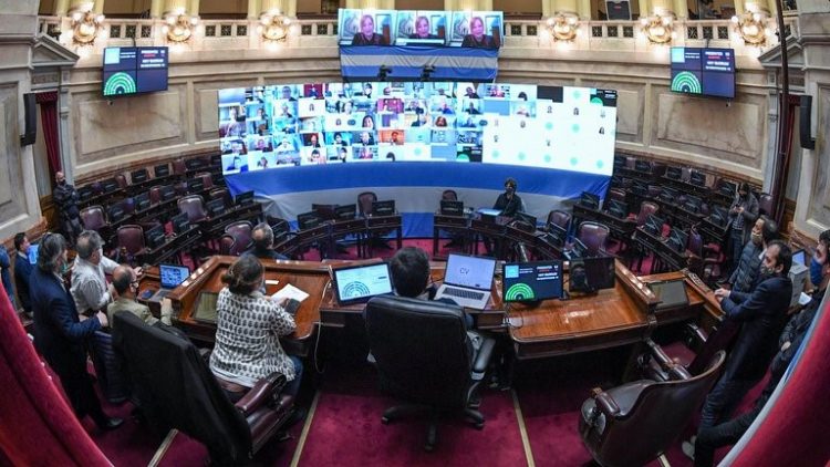 Senadora formoseña impulsa proyecto de ley para regular a influencers en redes sociales