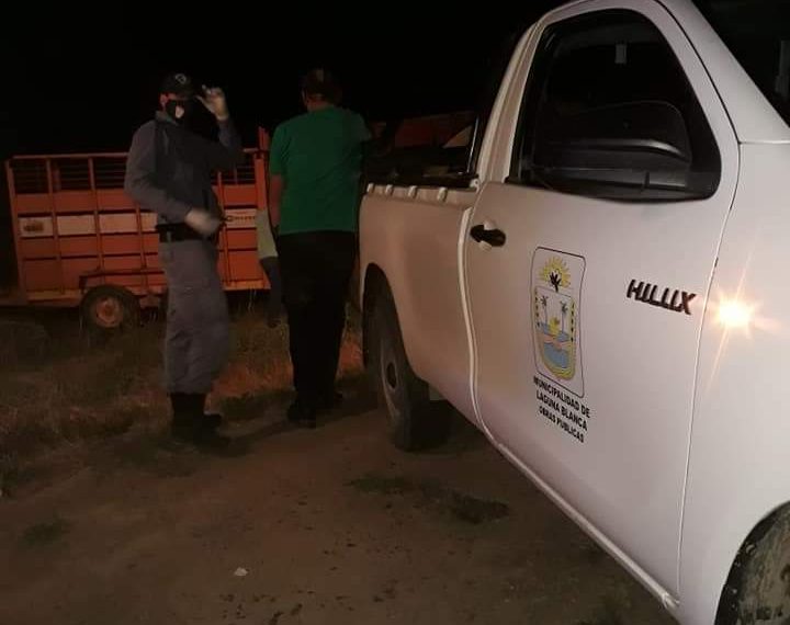 Camión jaula volcó en un giro y dejó como saldo la muerte de 19 vacunos