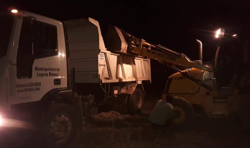 Camión jaula volcó en un giro y dejó como saldo la muerte de 19 vacunos