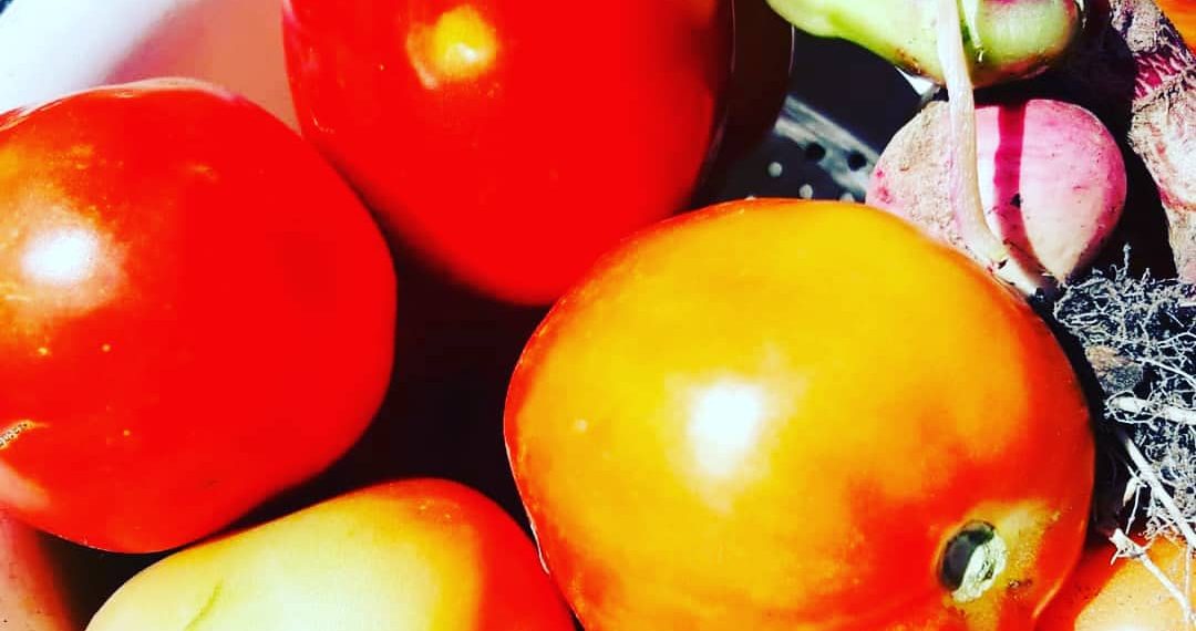 Exitosa iniciativa de huerta comunitaria en el barrio Sagrado Corazón de María