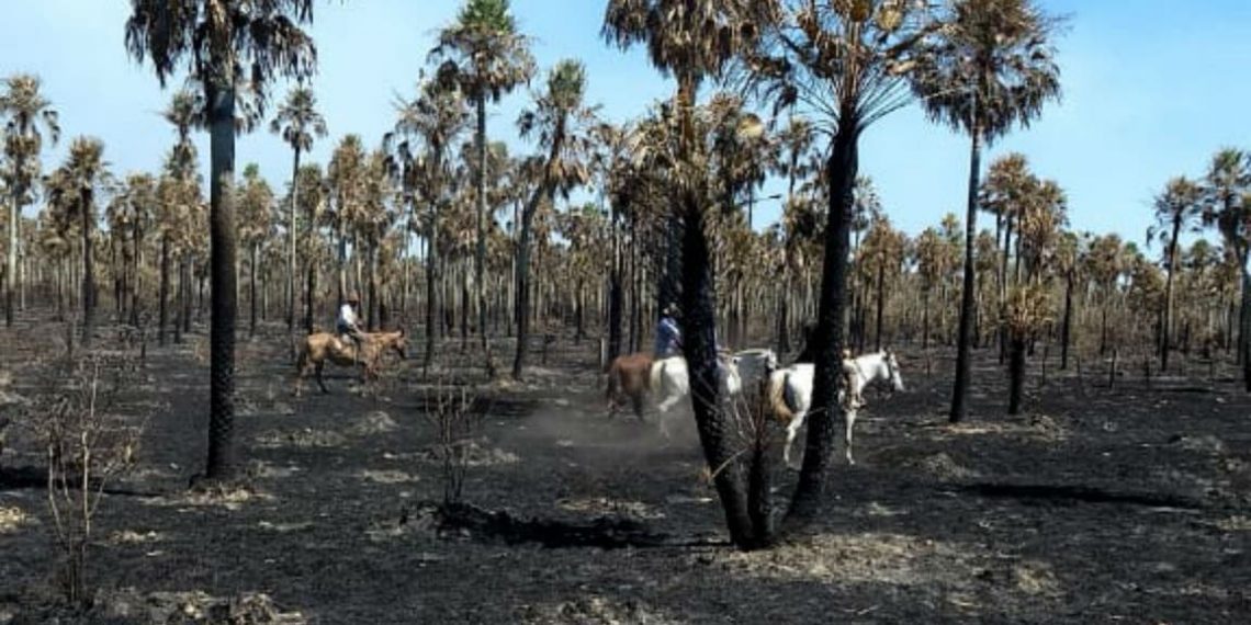 Ricardo Buryaile pidió a Nación que declare la emergencia agropecuaria en toda Formosa