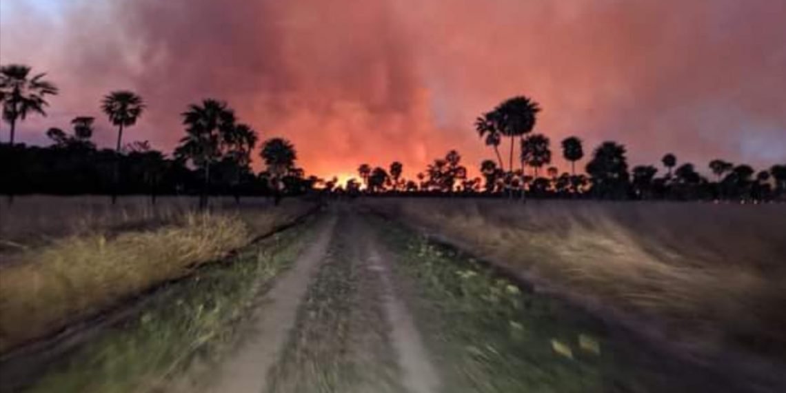 Cazadores furtivos y cuatreros provocaron incendio de pastizales en el Parque Nacional Río Pilcomayo