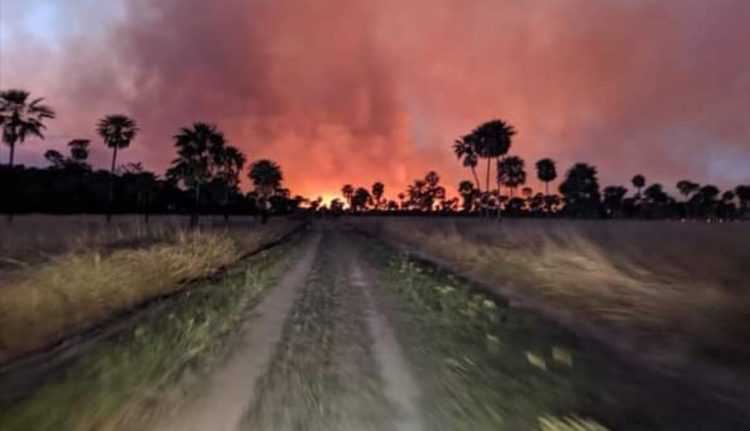 Cazadores furtivos y cuatreros provocaron incendio de pastizales en el Parque Nacional Río Pilcomayo