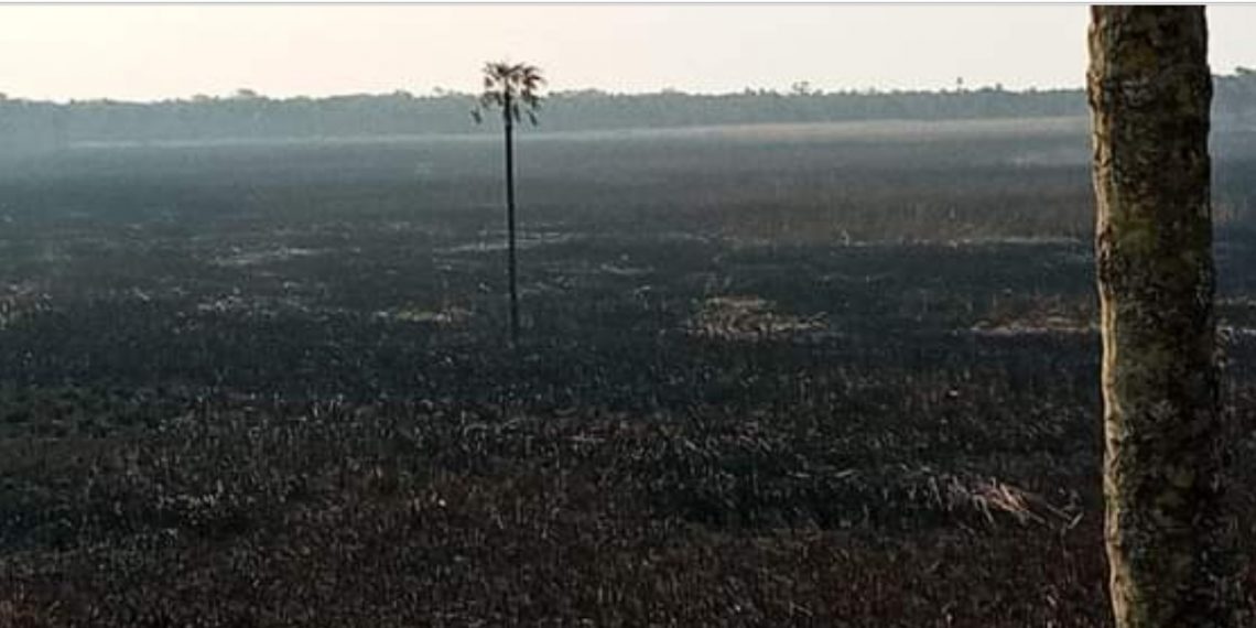 Cazadores furtivos y cuatreros provocaron incendio de pastizales en el Parque Nacional Río Pilcomayo