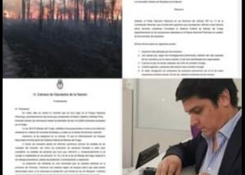El diputado Arce pedirá informes a Nación sobre acciones para preservar al parque nacional Río Pilcomayo