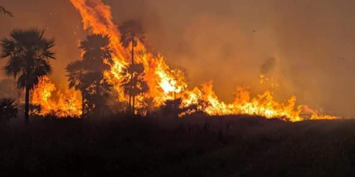 Cazadores furtivos y cuatreros provocaron incendio de pastizales en el Parque Nacional Río Pilcomayo