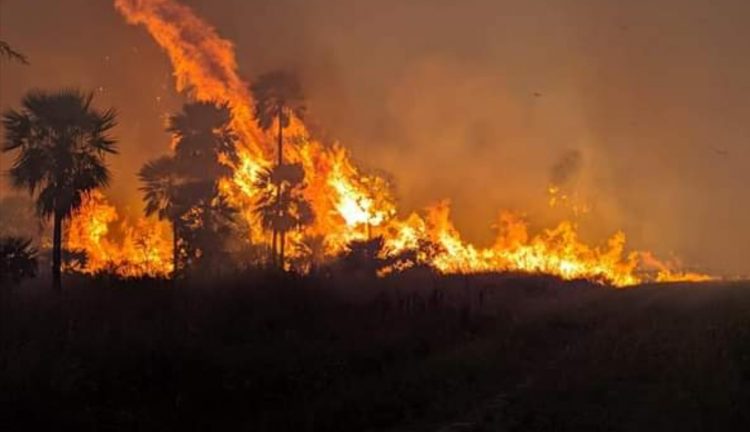 Cazadores furtivos y cuatreros provocaron incendio de pastizales en el Parque Nacional Río Pilcomayo