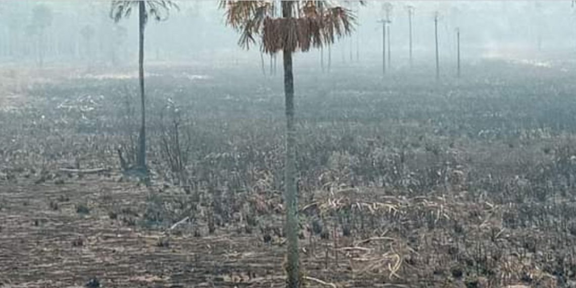 Cazadores furtivos y cuatreros provocaron incendio de pastizales en el Parque Nacional Río Pilcomayo