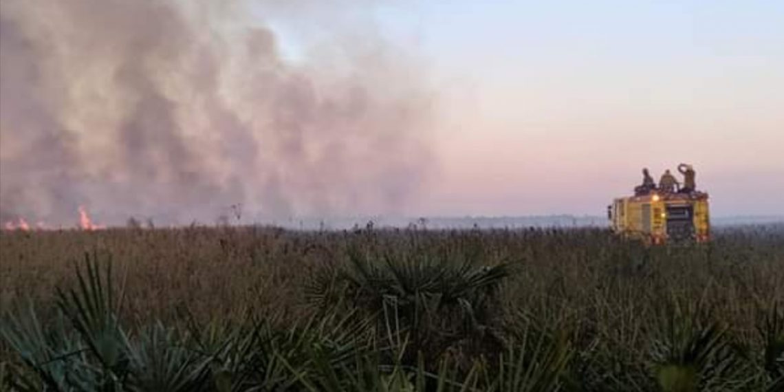 Cazadores furtivos y cuatreros provocaron incendio de pastizales en el Parque Nacional Río Pilcomayo