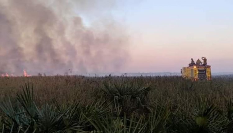 Cazadores furtivos y cuatreros provocaron incendio de pastizales en el Parque Nacional Río Pilcomayo