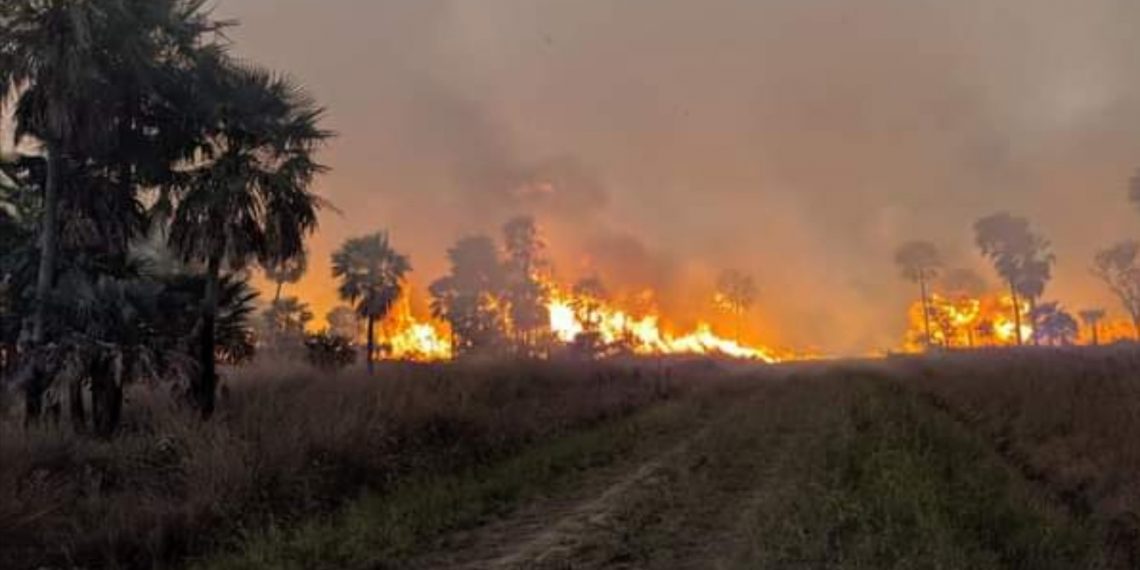 Cazadores furtivos y cuatreros provocaron incendio de pastizales en el Parque Nacional Río Pilcomayo
