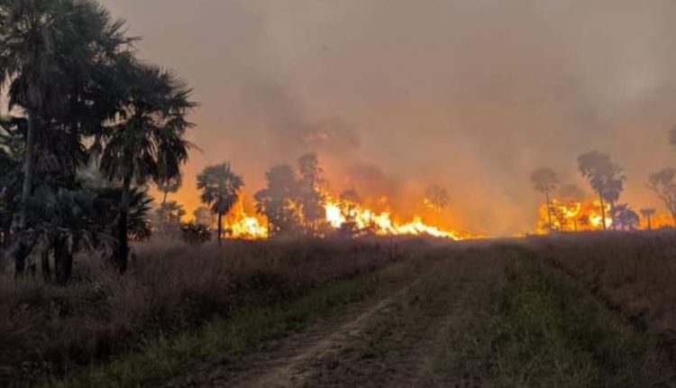 Cazadores furtivos y cuatreros provocaron incendio de pastizales en el Parque Nacional Río Pilcomayo