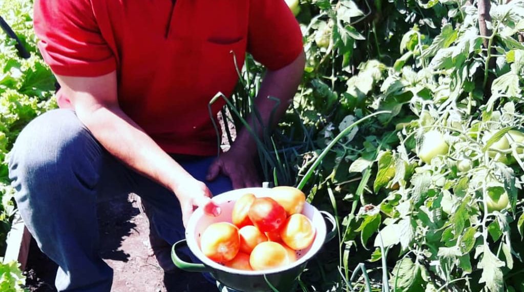 Exitosa iniciativa de huerta comunitaria en el barrio Sagrado Corazón de María
