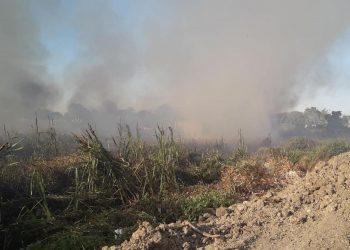 Paraguayos van y vienen a Formosa por Isla de Oro y queman pastizales para abrir senderos clandestinos