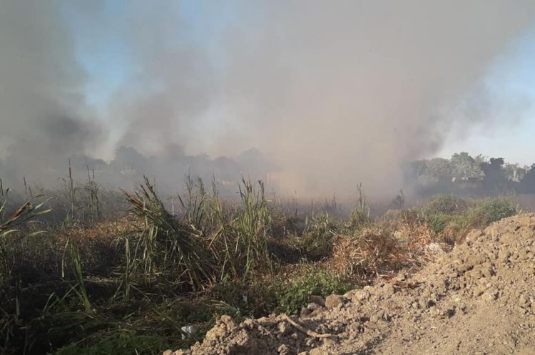 Paraguayos van y vienen a Formosa por Isla de Oro y queman pastizales para abrir senderos clandestinos