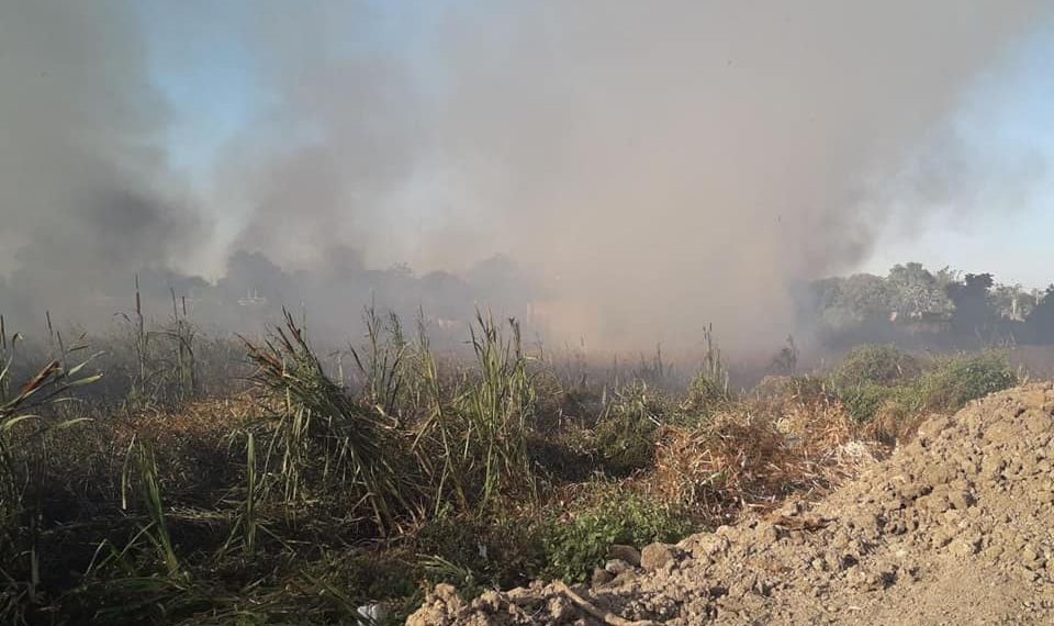 Paraguayos van y vienen a Formosa por Isla de Oro y queman pastizales para abrir senderos clandestinos