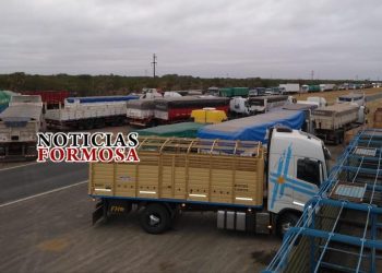 Camioneros se manifiestan en la ruta, piden no ser estigmatizados