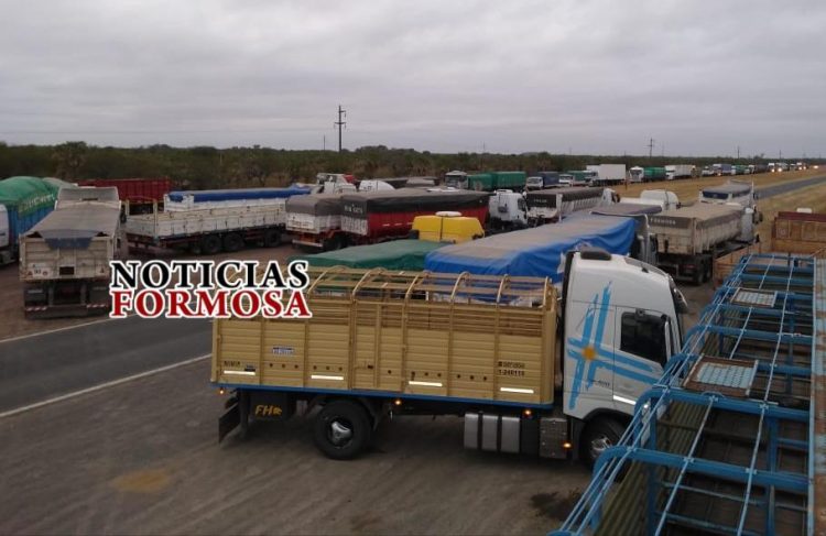 Camioneros se manifiestan en la ruta, piden no ser estigmatizados