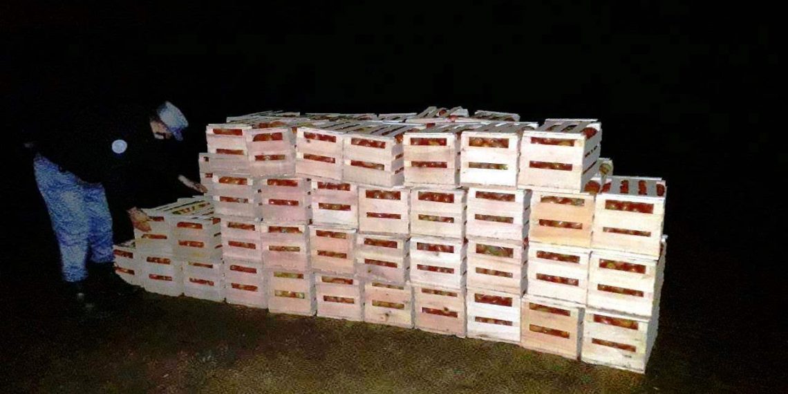 Traían cargamento de tomates por un paso clandestino y fueron detectados