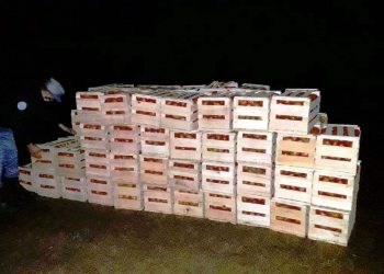 Traían cargamento de tomates por un paso clandestino y fueron detectados