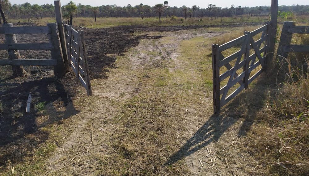 Golpe al narcotráfico: Gendarmería secuestró marihuana valuada en más de $3 millones