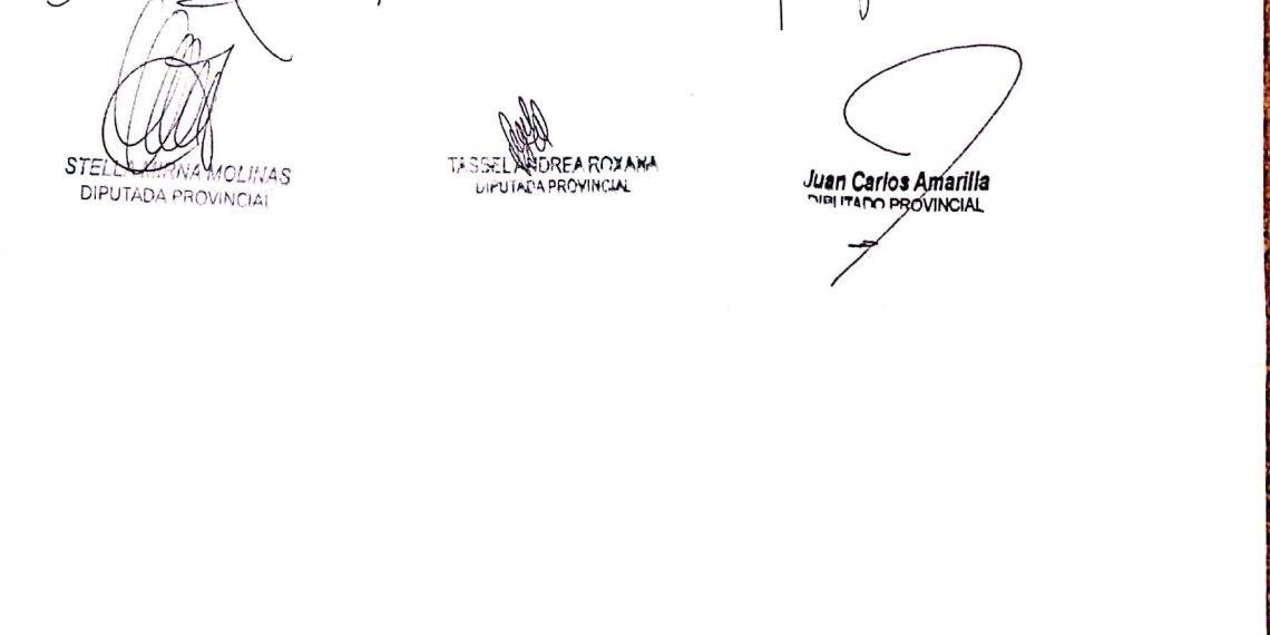 Legisladores de la oposición quieren incluir el juicio político a Gialluca en la sesión de Diputados